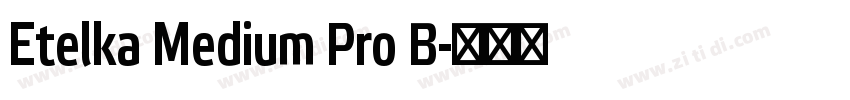Etelka Medium Pro B字体转换 Etelka Medium Pro B字体转换